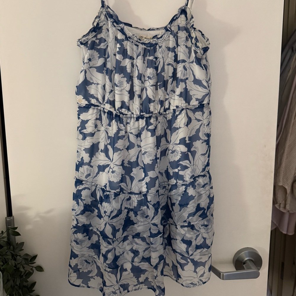 AE Floral Print Ruffle Dress | Size 8/M